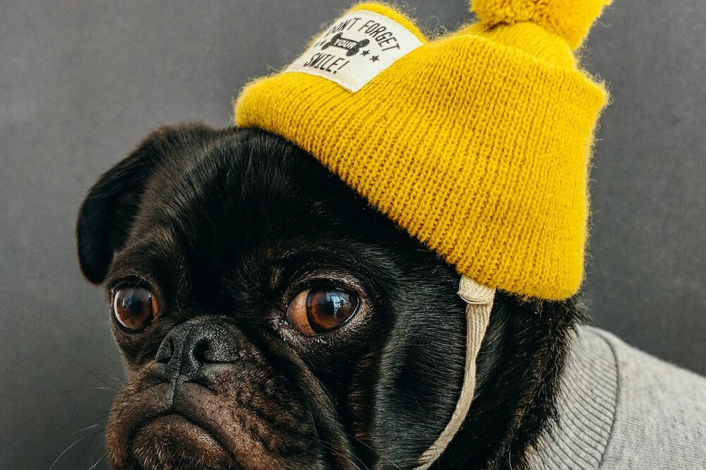 charlesdeluvio-AQRp2NH-O8k-unsplash